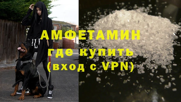 сатива Армянск