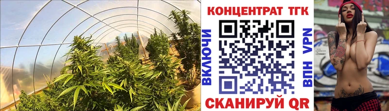 ТГК THC oil Холмск