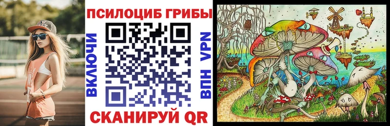 Псилоцибиновые грибы Cubensis  это как зайти  Холмск  купить закладку 